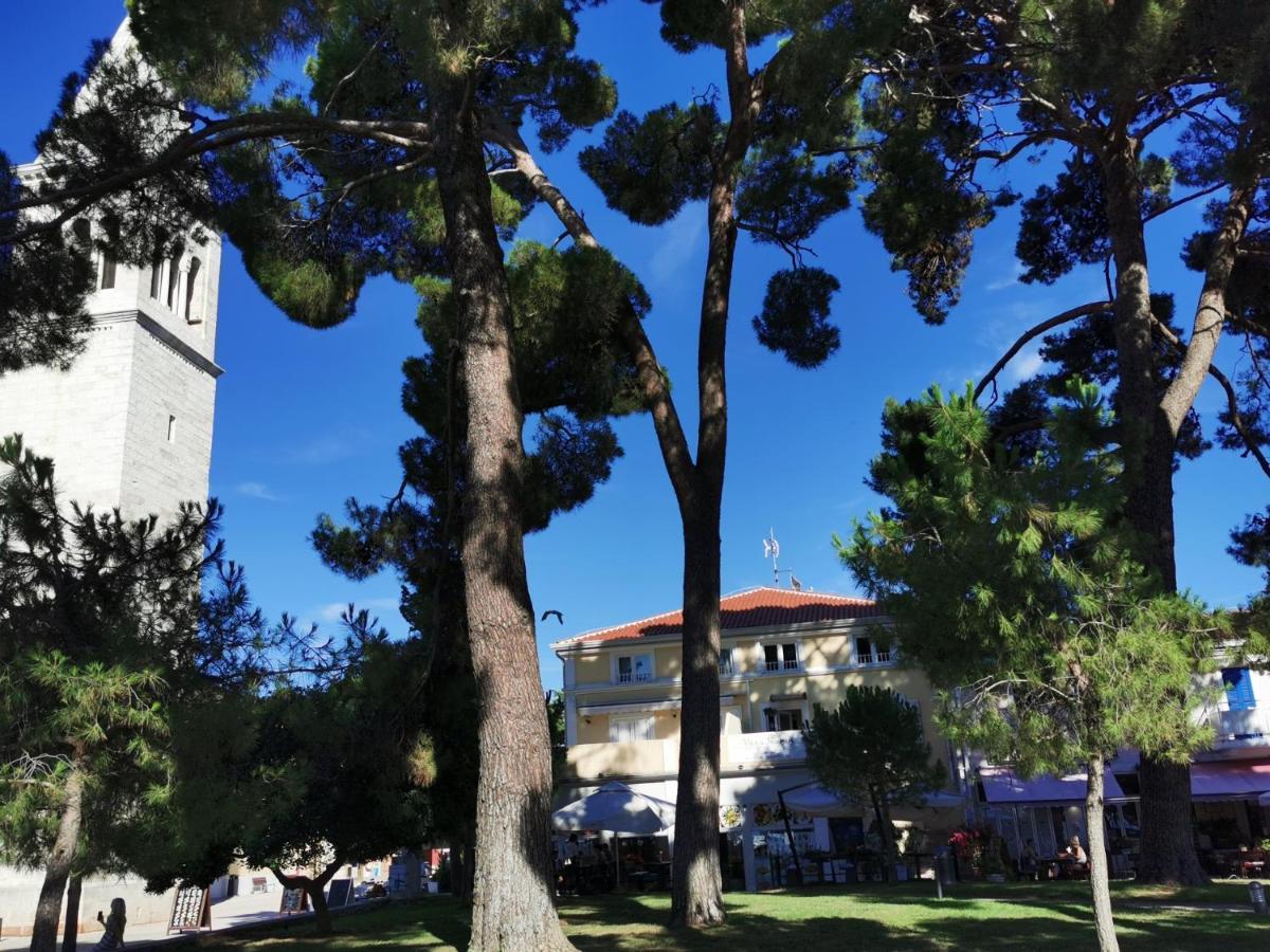 Emily Deluxe Superior 5 Star Studio Apartment, Your Piece Of Heaven With Sea & Park View Novigrad (Istria) Exterior foto